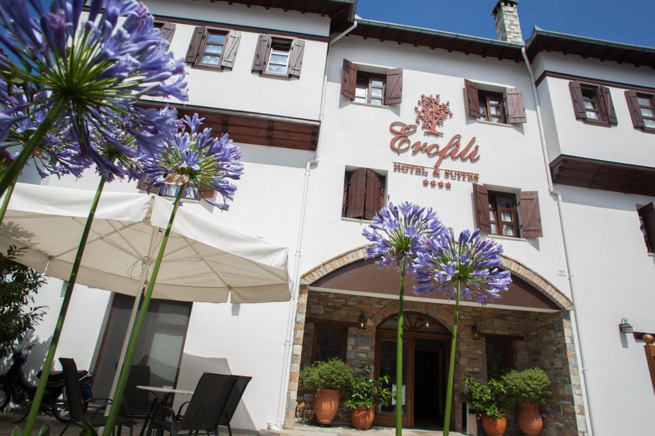Erofili Hotel & Suites Portariá Exteriér fotografie